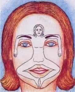 Gesicht mit Körperzonen